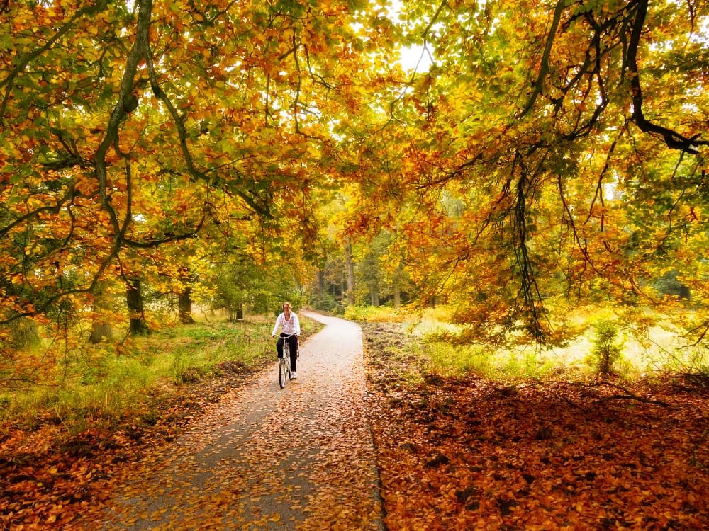 week-end-dautunno-bici-5-mete-autunno-ancora-piu-belle image