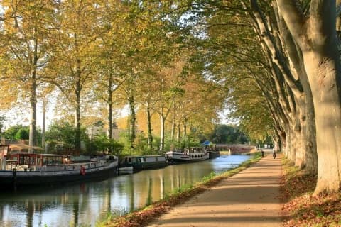 il-canal-du-midi-carcassonne-e-il-mediterraneo