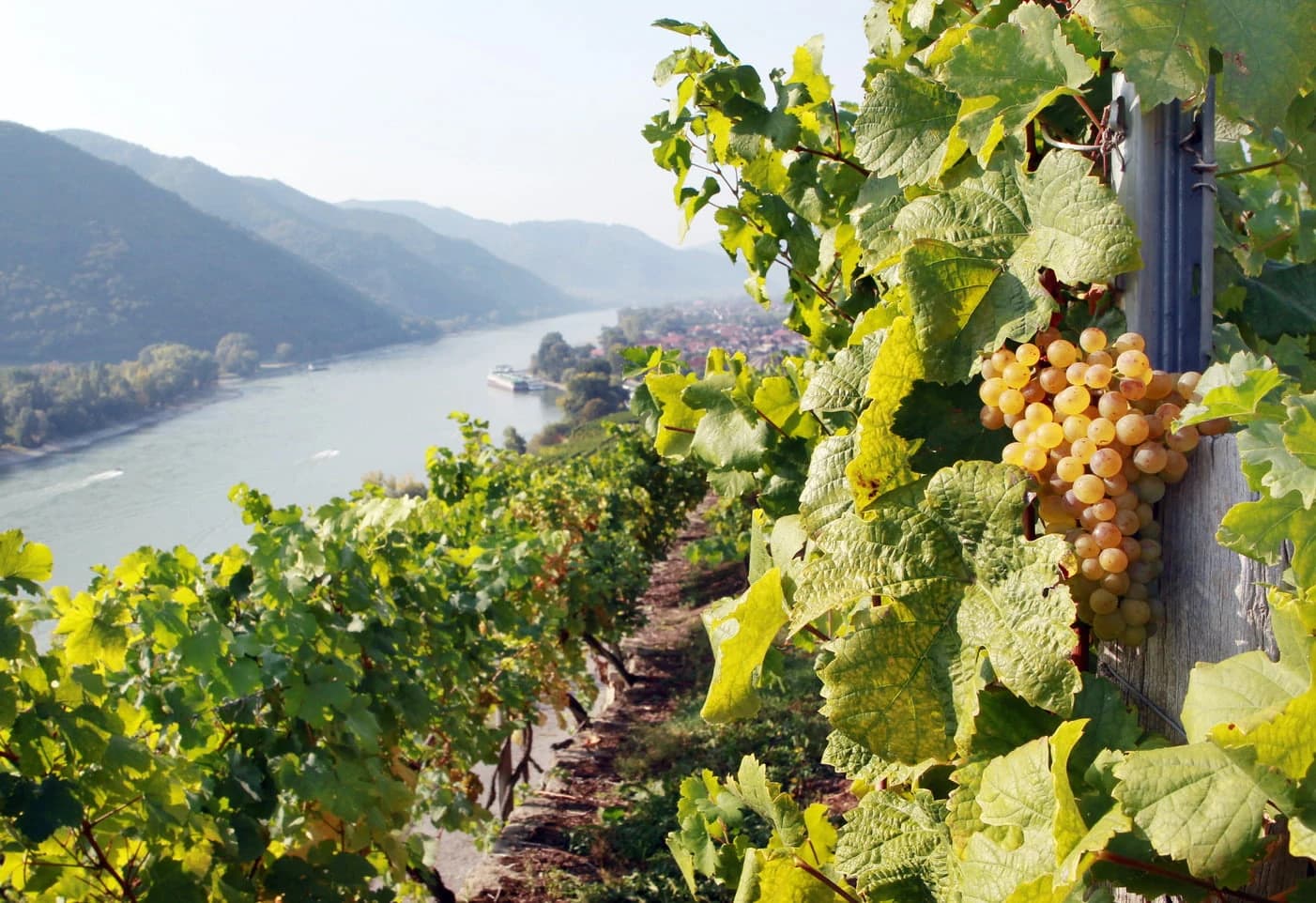 the-wachau-valley-between-vineyards-and-abbeys