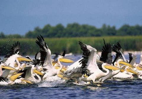 the-danube-delta-by-bike-and-boat