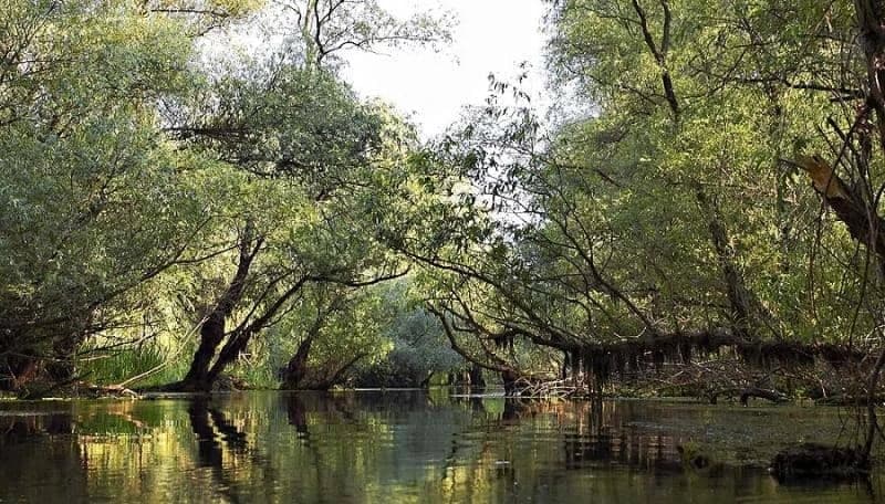the-danube-delta-by-bike-and-boat