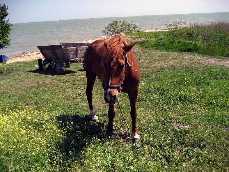 the-danube-delta-by-bike-and-boat