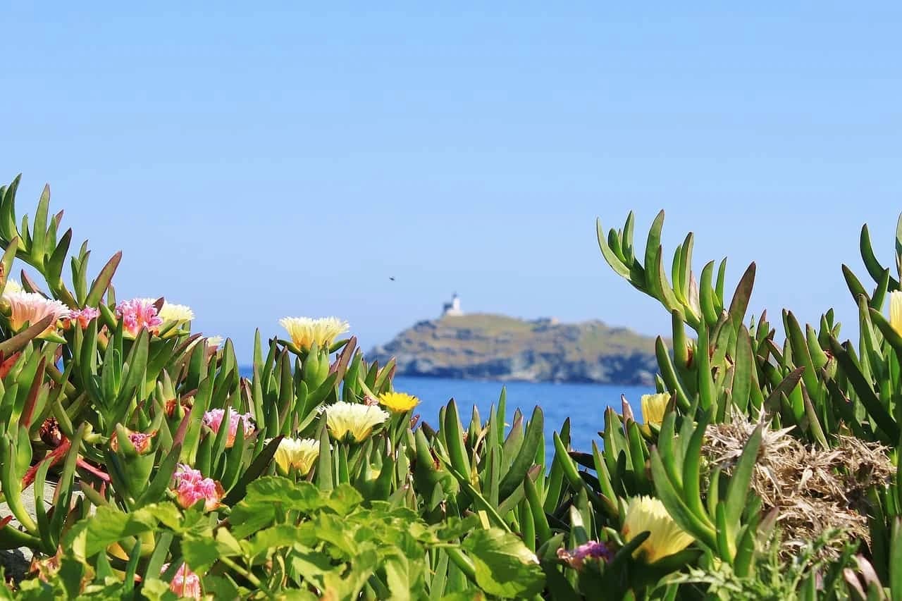 il-nord-della-corsica-e-il-golfo-di-porto