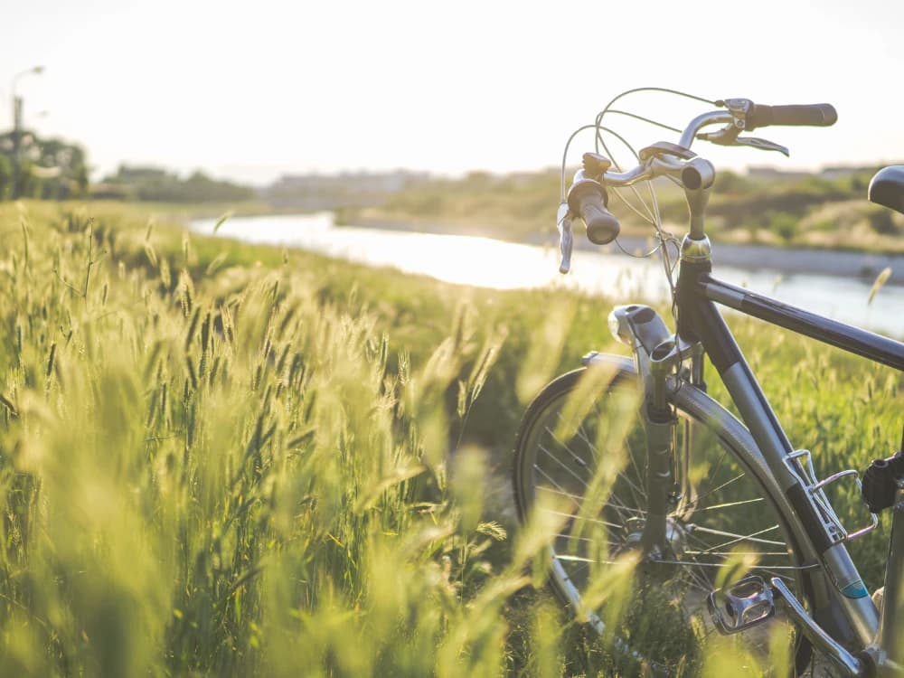 green-itineraries-in-europe-3-trips-not-to-be-missed image