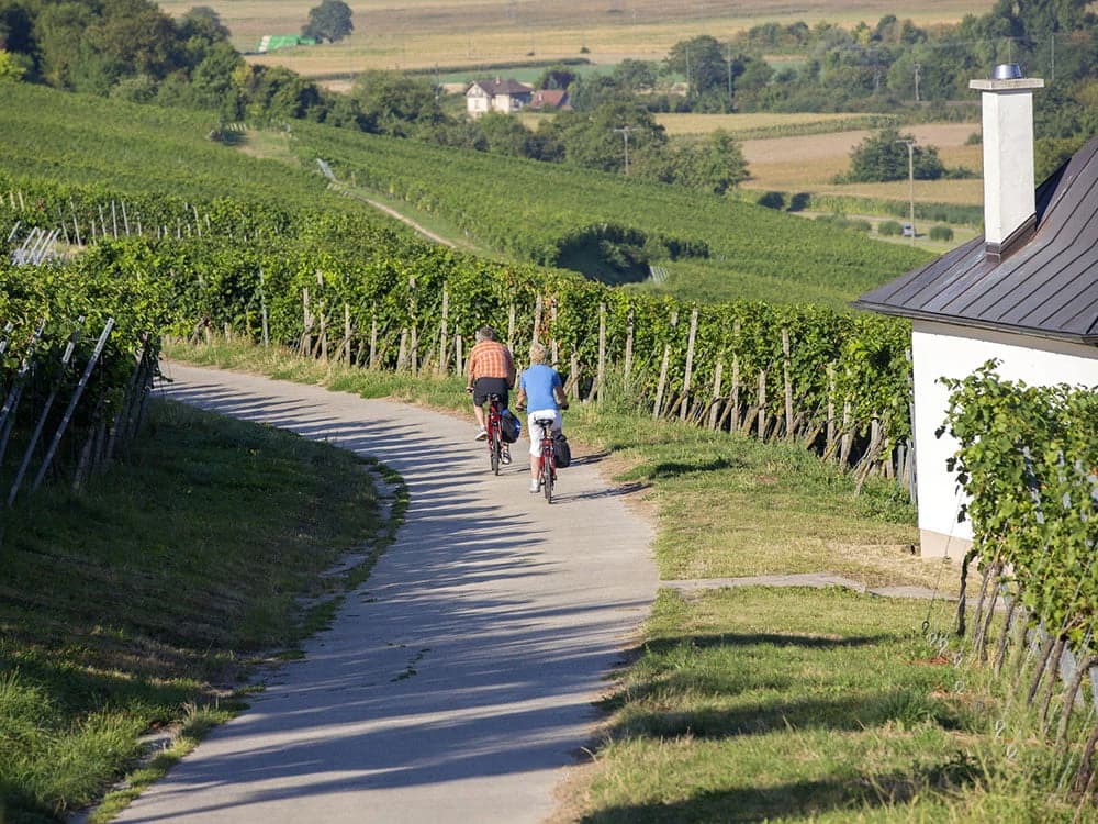 black-forest-by-bike