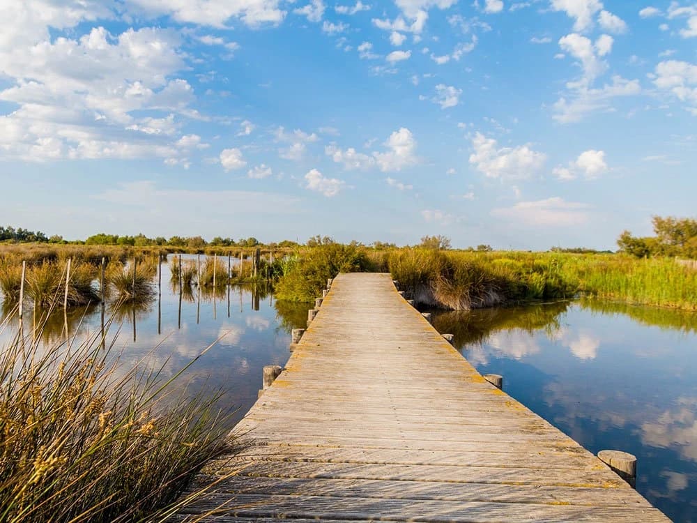 camargue-by-bike