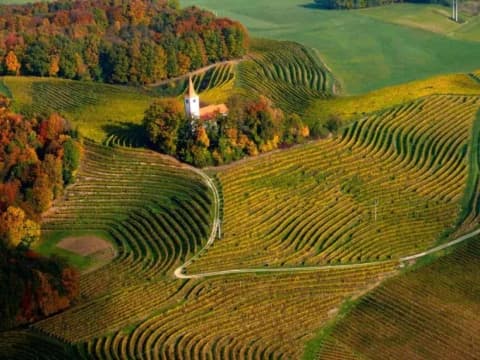 slovenia-bici-e-terme