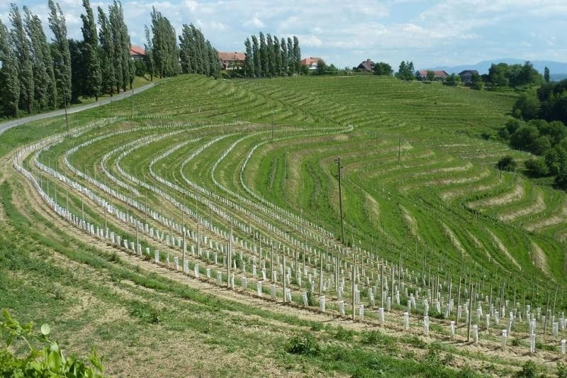 slovenia-bici-e-terme