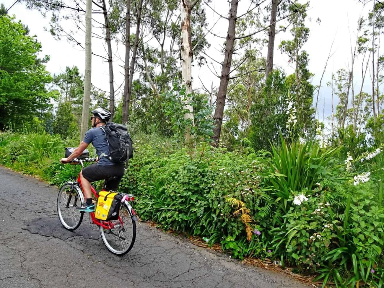 lisola-di-madeira-in-bici