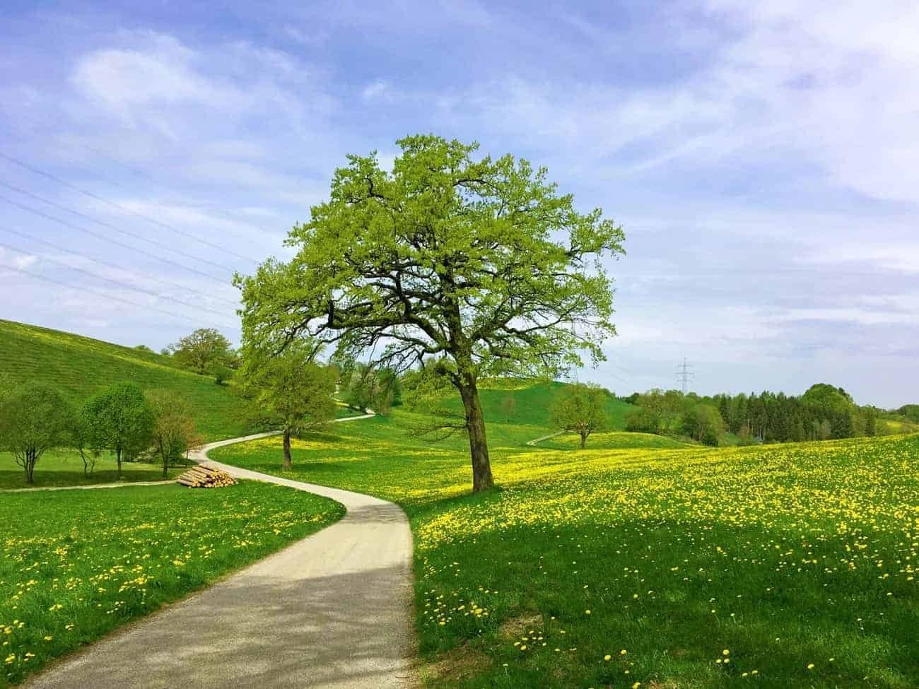 biking-around-the-discovery-of-lake-chiemsee-in-7-days