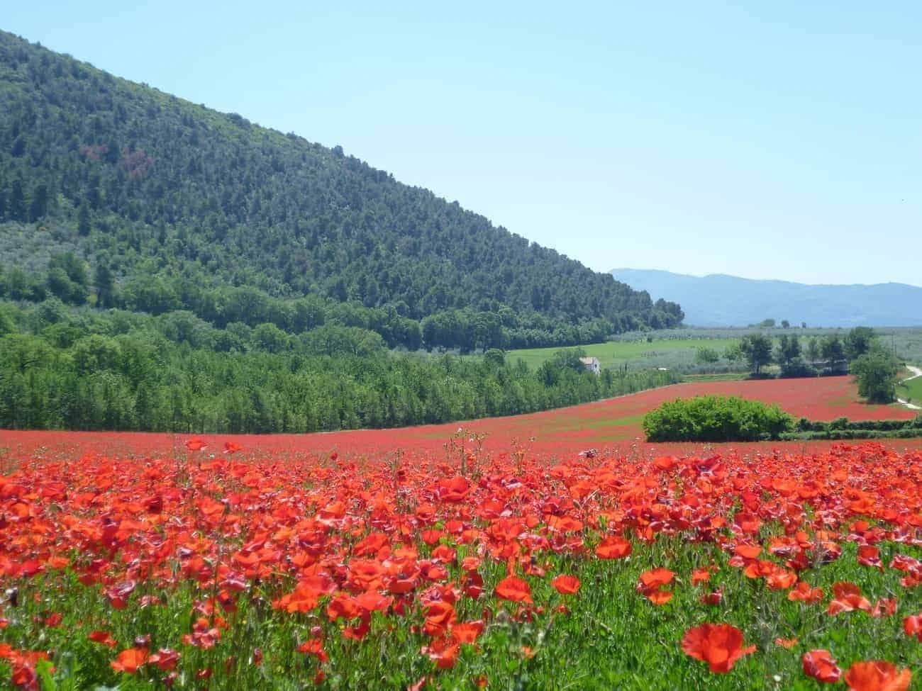 a-8-day-trip-in-the-umbrian-valley