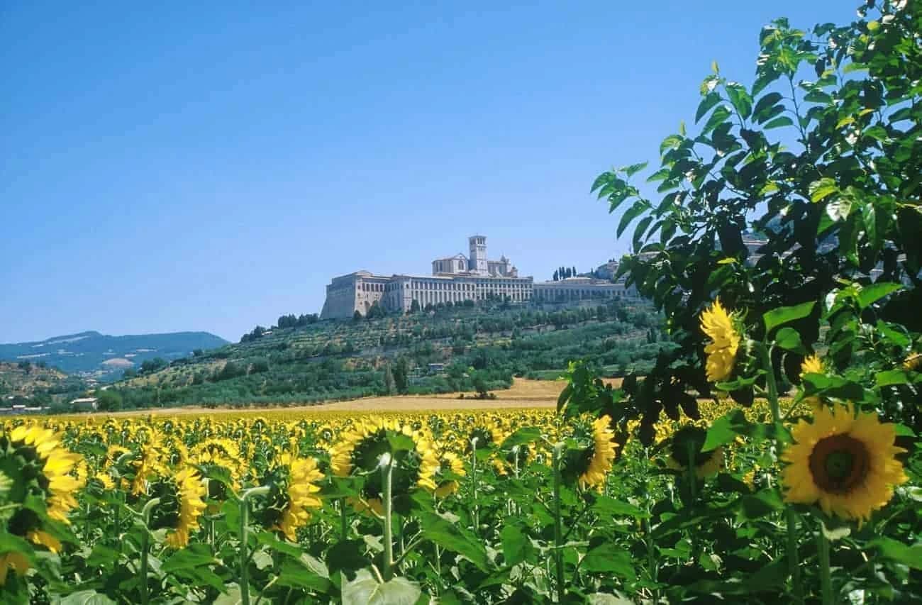 7-days-by-bike-in-the-umbrian-valley