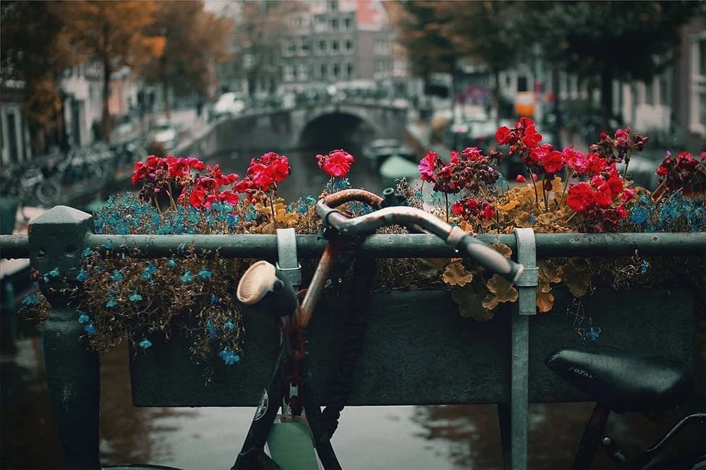 documentari-bicicletta-stile-di-vita image