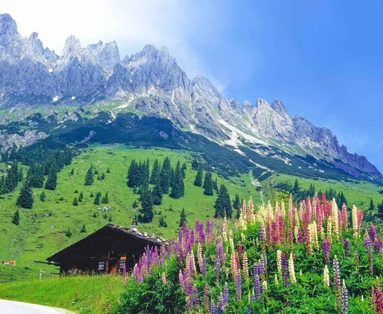 la-ciclovia-alpe-adria-radweg