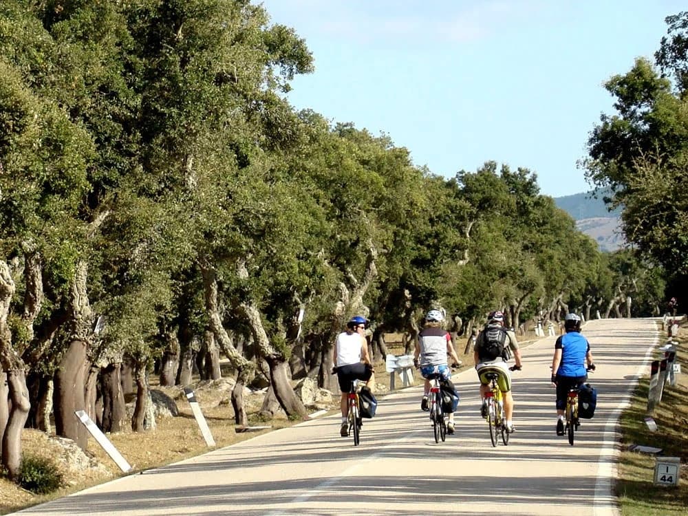 le-foreste-e-le-miniere-del-sulcis-in-e-bike