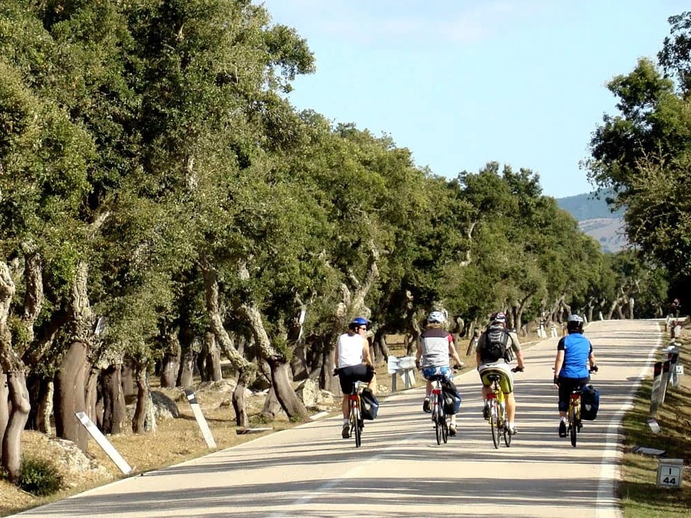 the-forests-and-mines-of-sulcis-by-e-bike