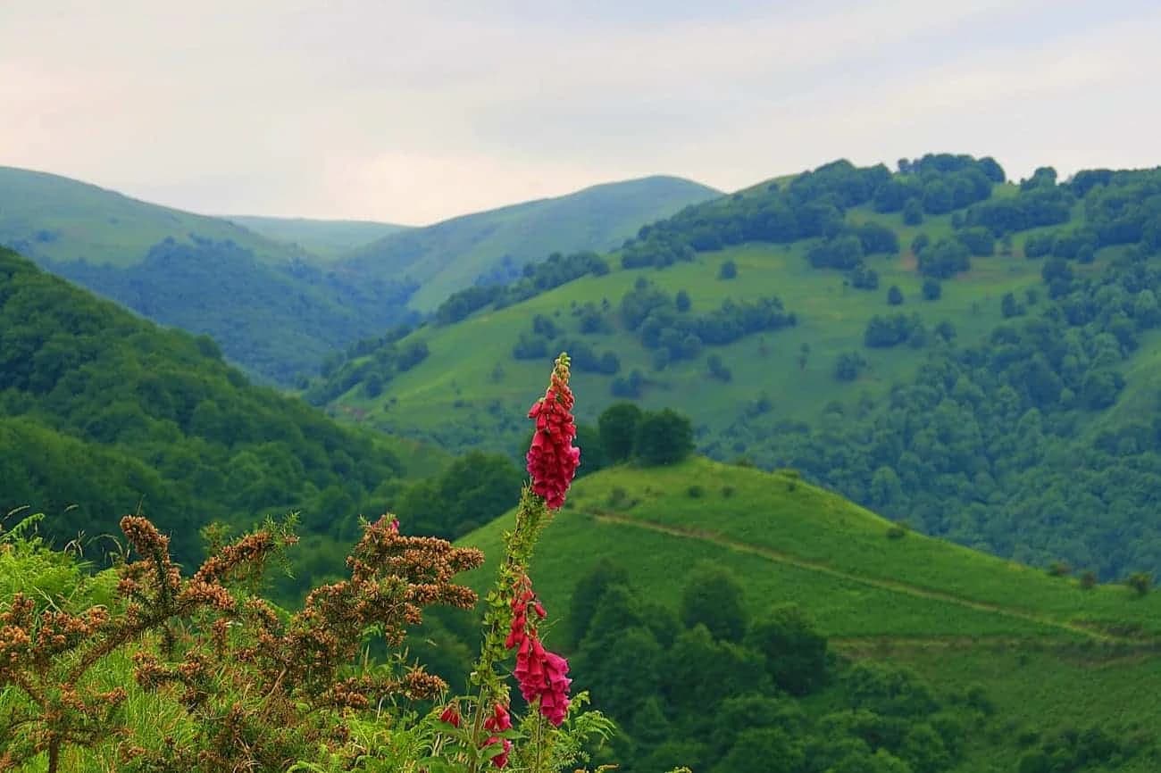 the-portuguese-route-by-bike-from-porto-to-santiago