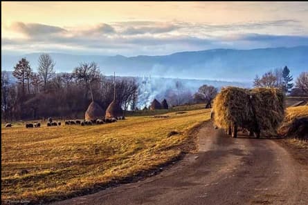 discovering-maramures