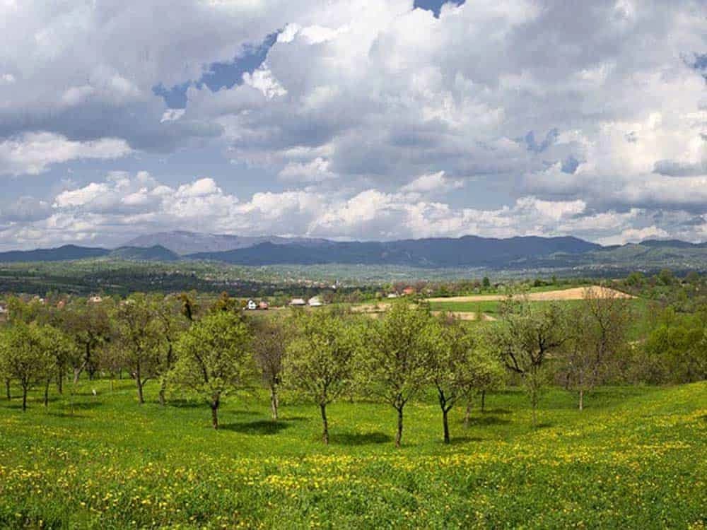 discovering-maramures