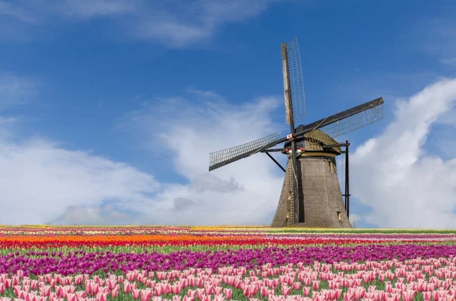 holland-in-e-bike