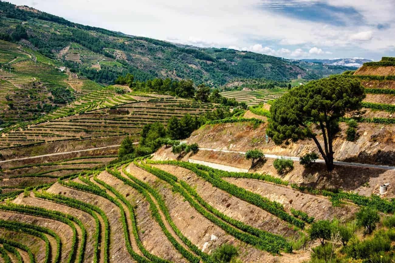 la-valle-del-douro