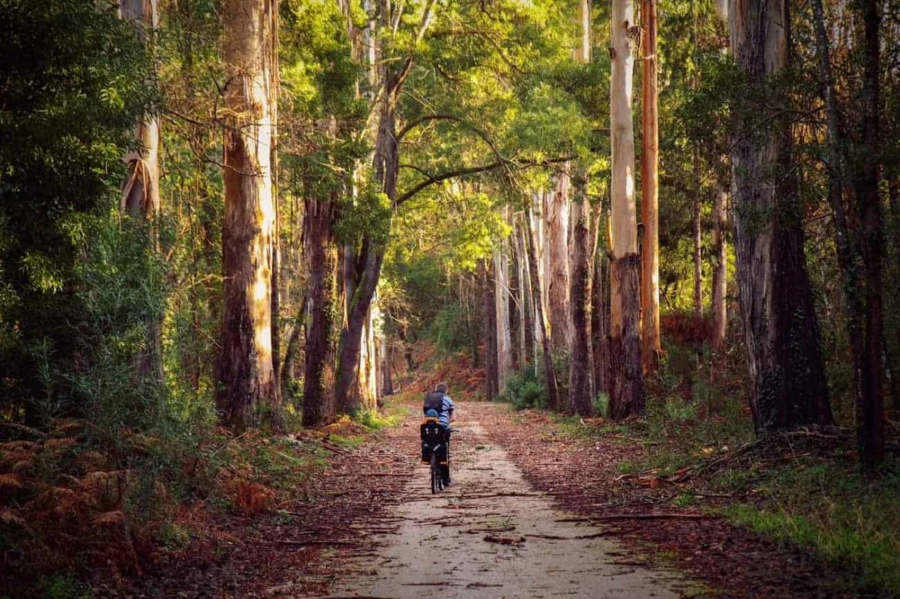 from-porto-to-lisbon-by-bike