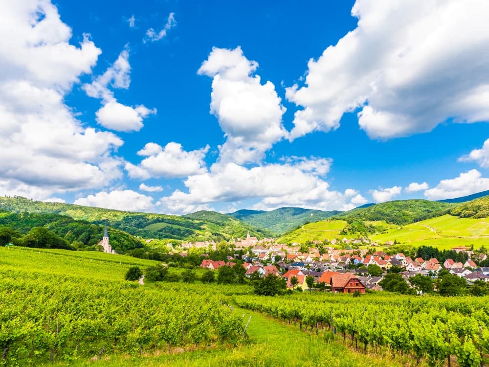 the-wine-road-of-alsace