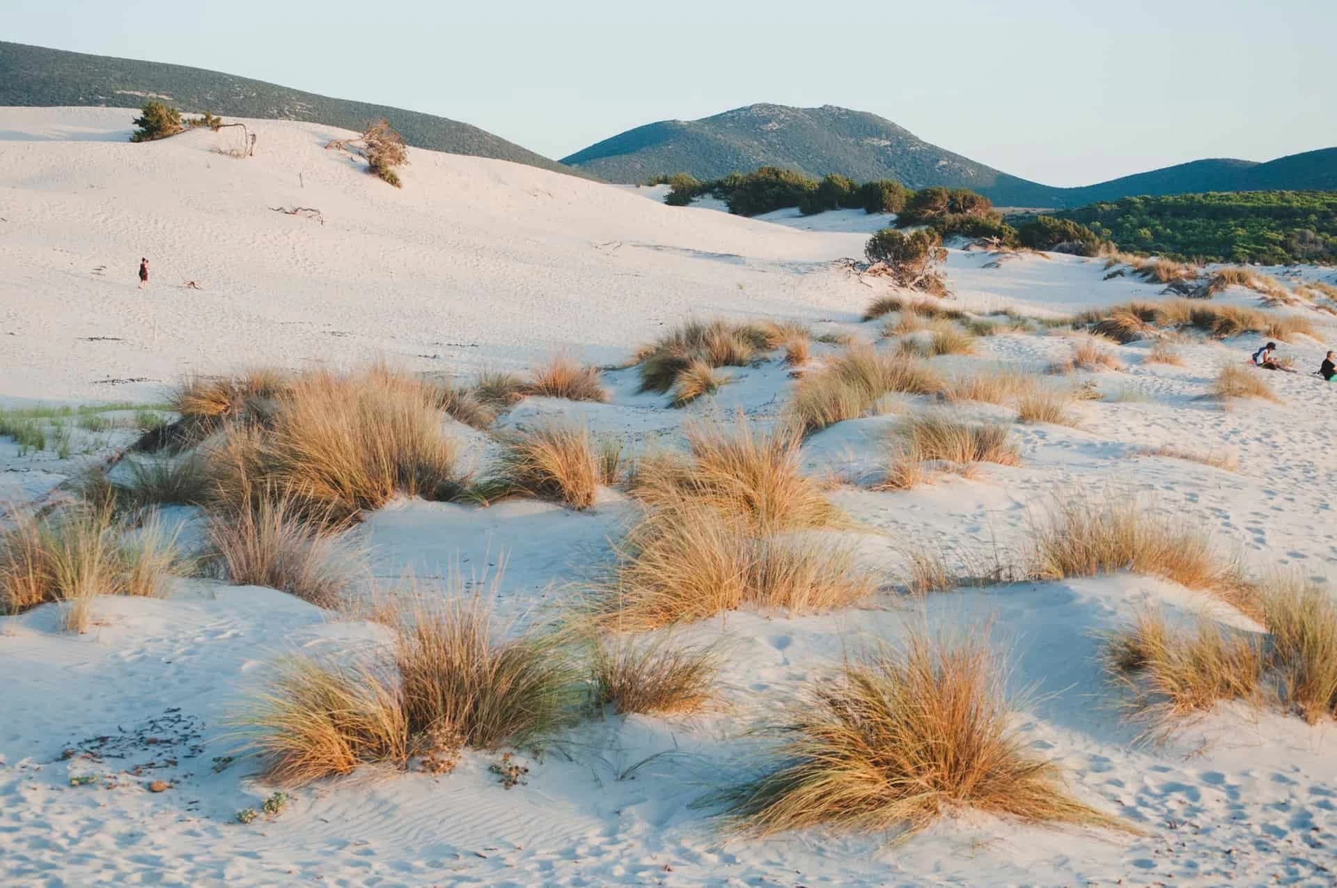 sardegna-classica