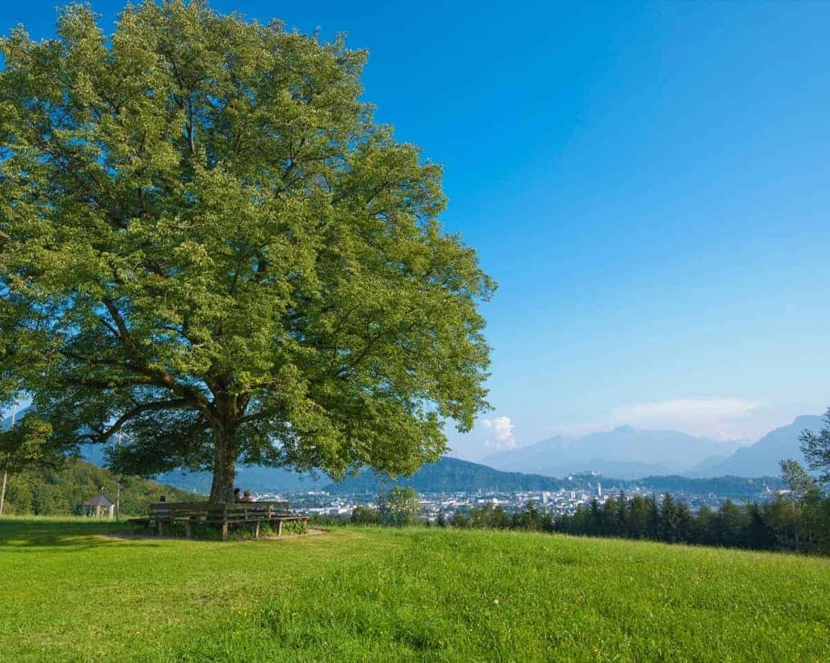 i-laghi-del-salisburghese