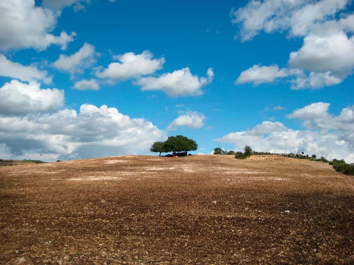 sicilia-in-bici-da-corsa-il-barocco-siciliano