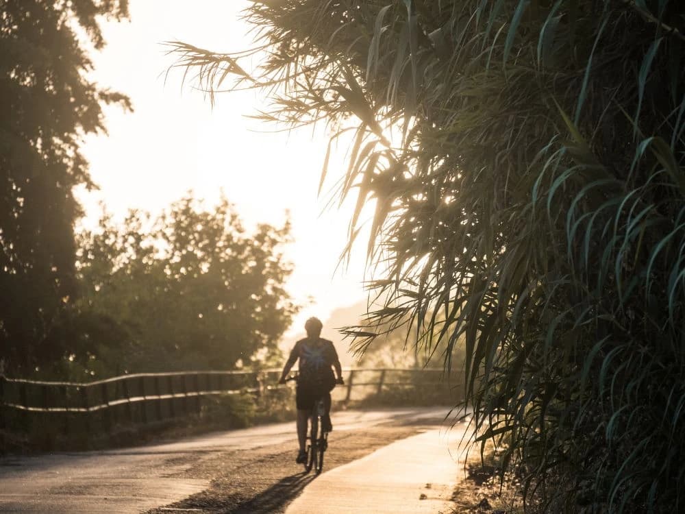 cilento-and-the-silent-way-by-bike