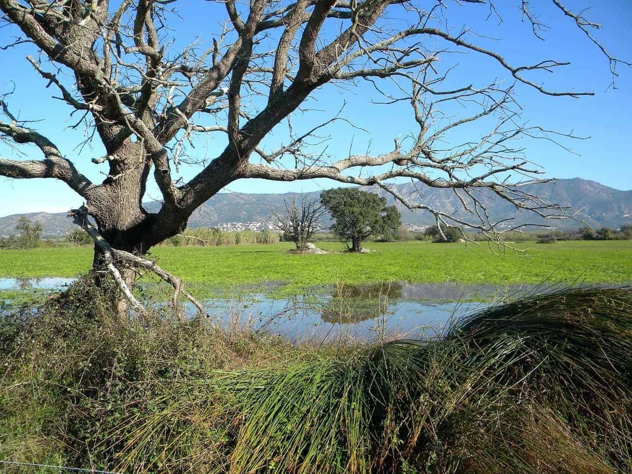 great-tour-of-emporda-cycling-catalonia
