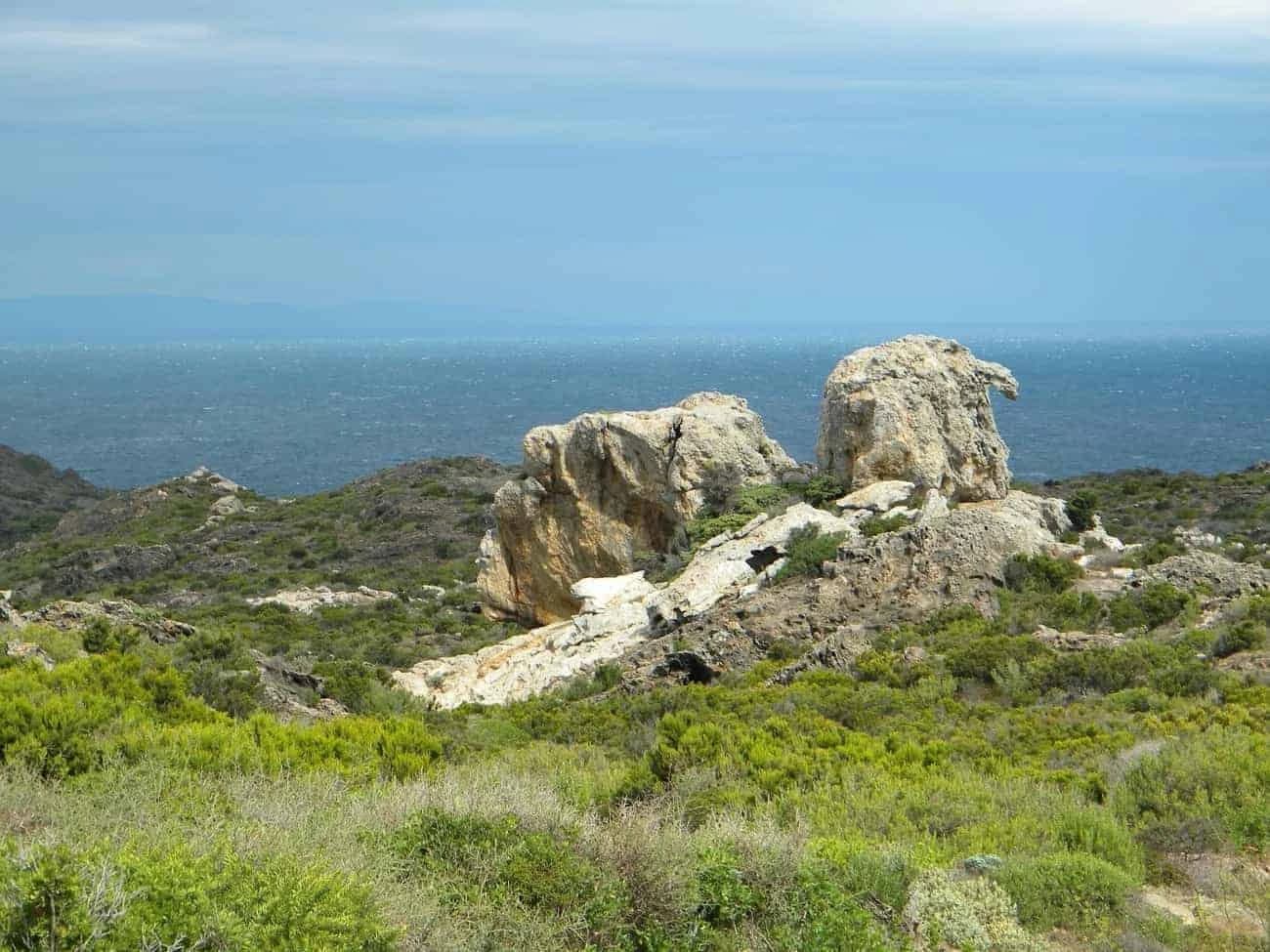 biking-with-taste-in-the-region-of-emporda