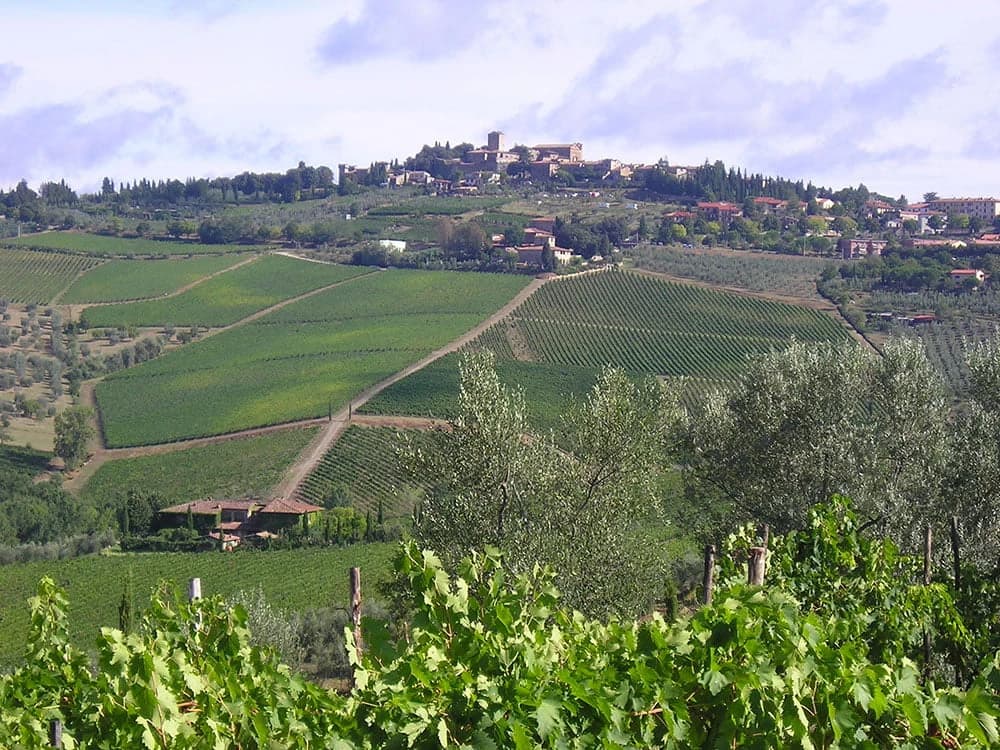 chianti-in-mtb