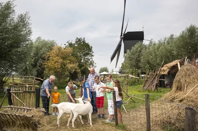 sud-olanda-in-bicicletta-per-famiglie