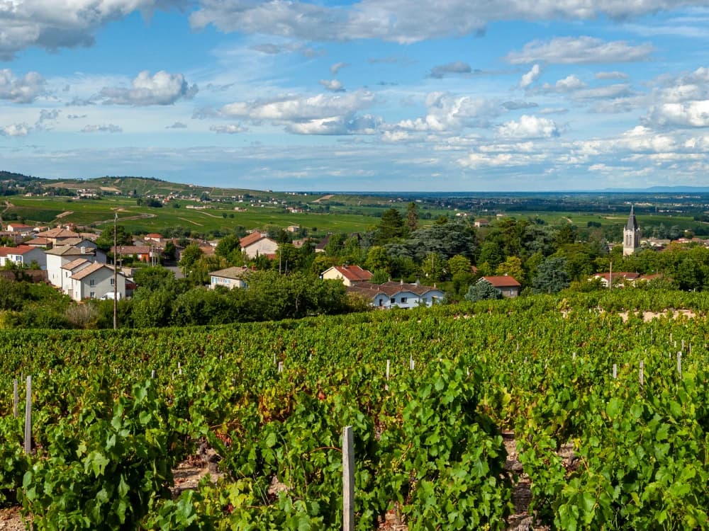 alla-scoperta-del-beaujolais-in-bici