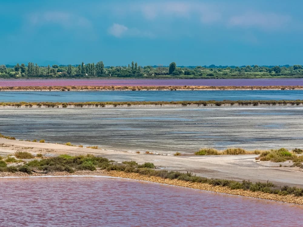 languedoc-and-camargue-by-bike