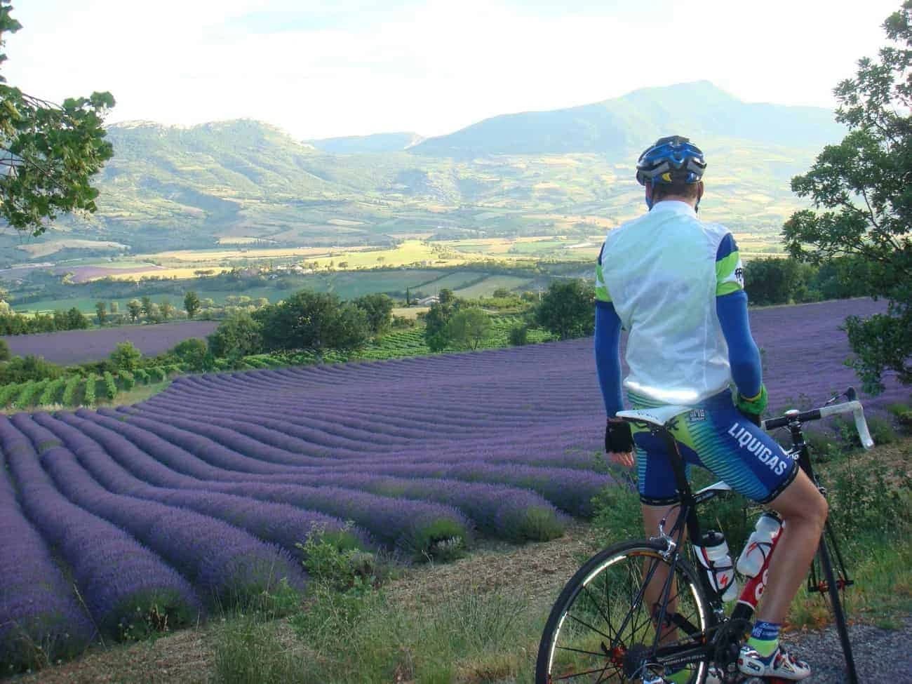 provenza-in-bici-tra-i-campi-di-lavanda