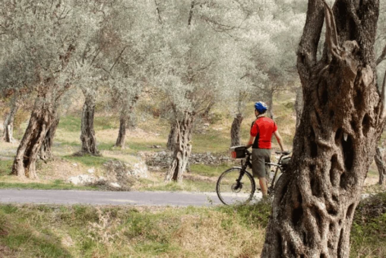 montenegro-by-bike-between-the-sea-and-lake-scutari