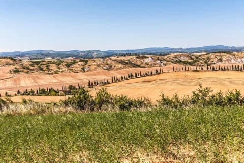 land-of-siena