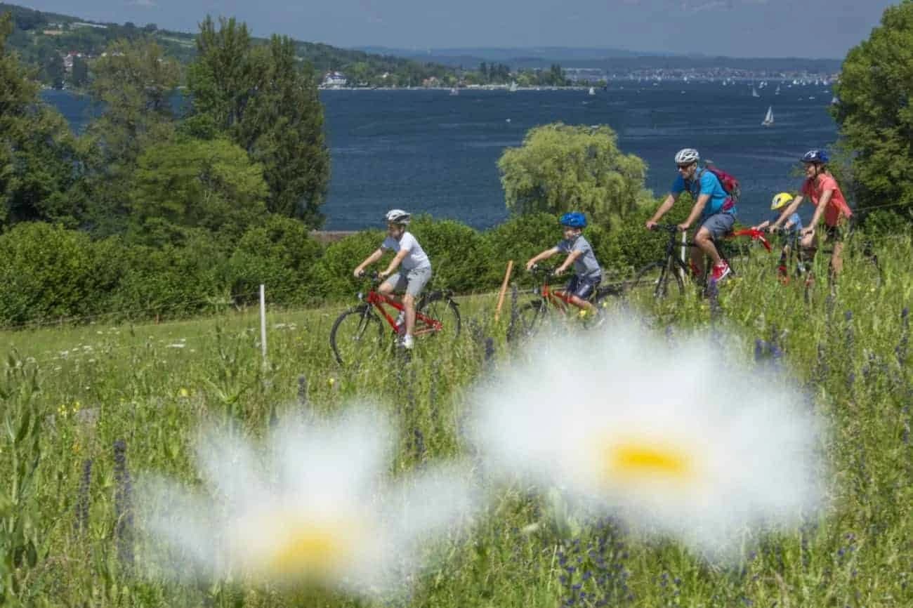 il-meglio-del-reno-in-bicicletta