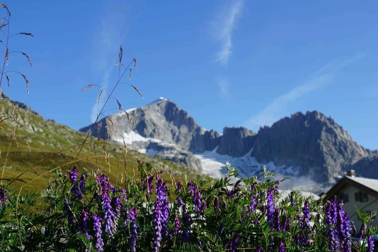 7-giorni-sulla-ciclabile-del-rodano