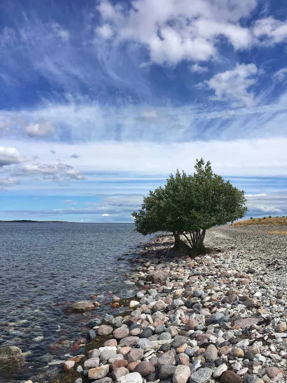 by-bike-on-gotland-island