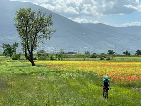 in-umbria-per-la-fioritura-delle-lenticchie-in-e-bike