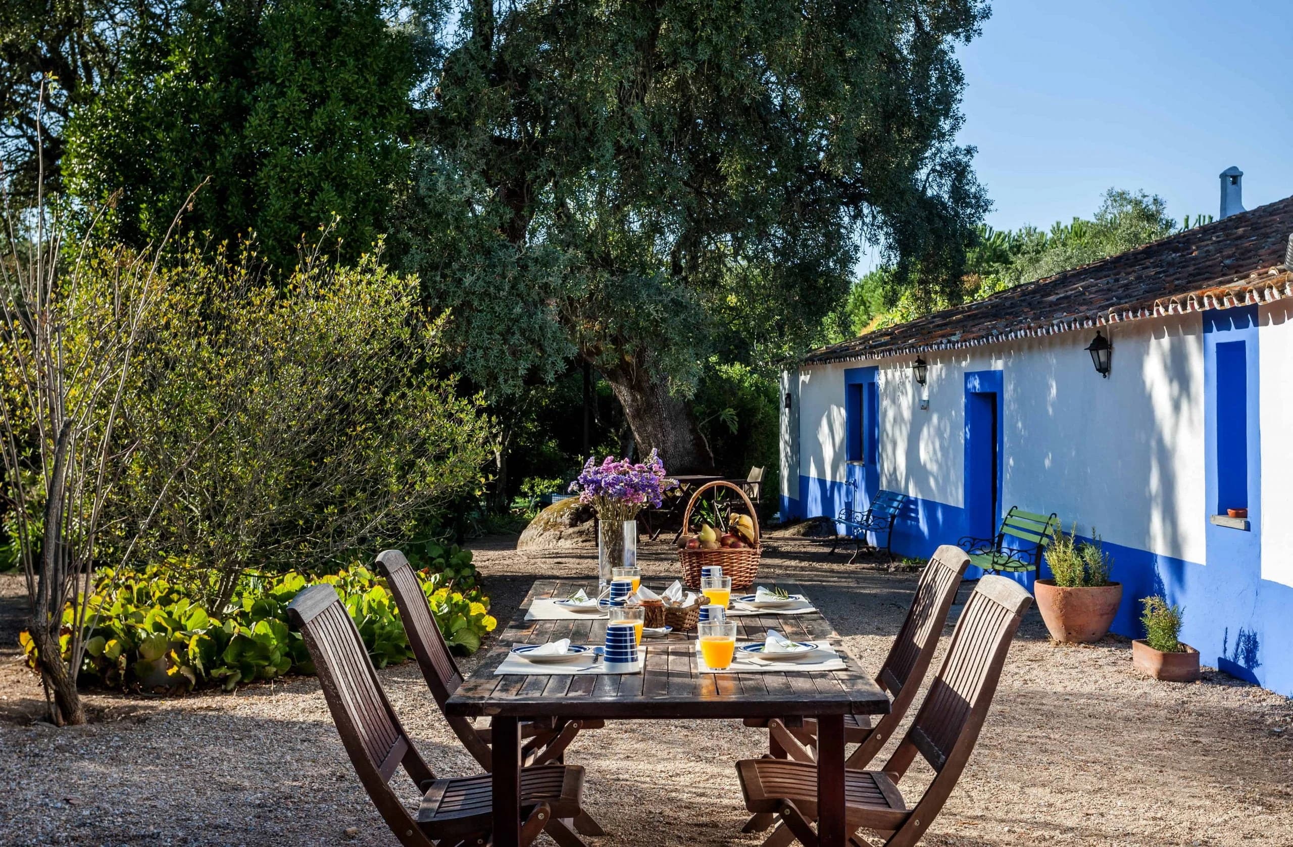 on-the-coasts-of-alentejo-in-group-with-guide