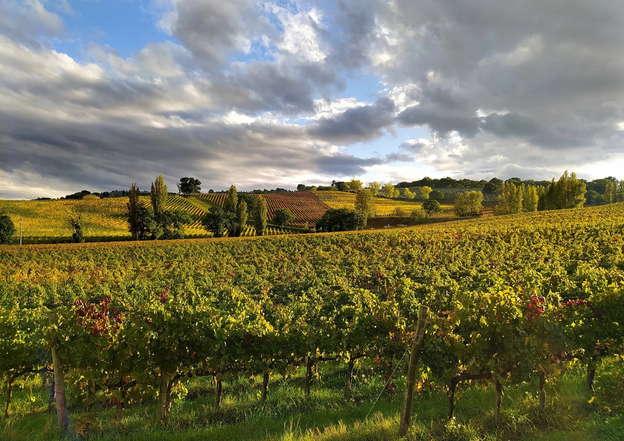 in-umbria-per-la-fioritura-delle-lenticchie-in-e-bike
