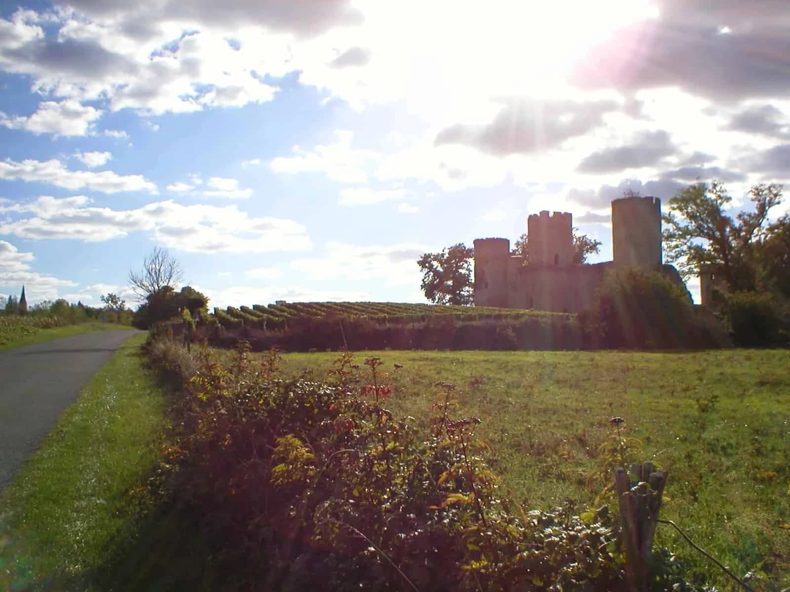 the-vineyards-of-bordeaux-and-the-route-des-chateaux-in-7-days