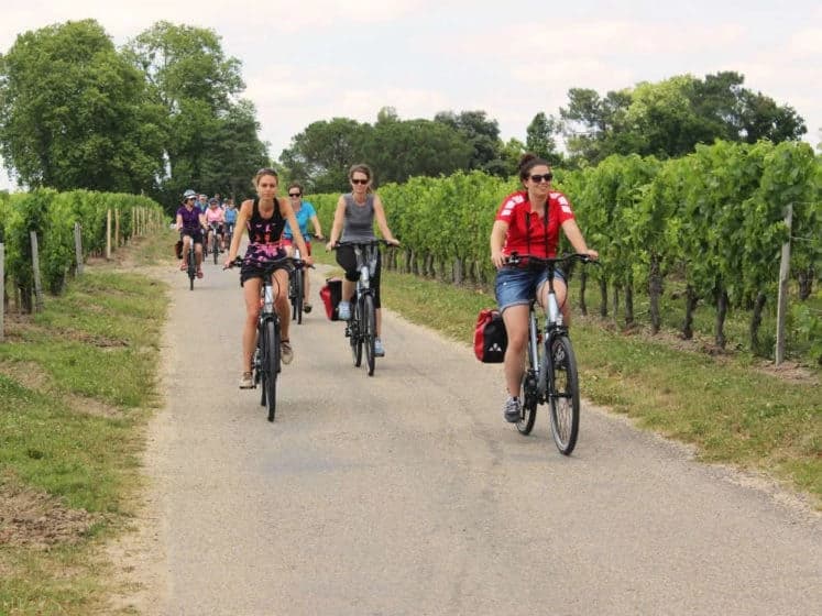 the-vineyards-of-bordeaux-and-the-route-des-chateaux-in-7-days