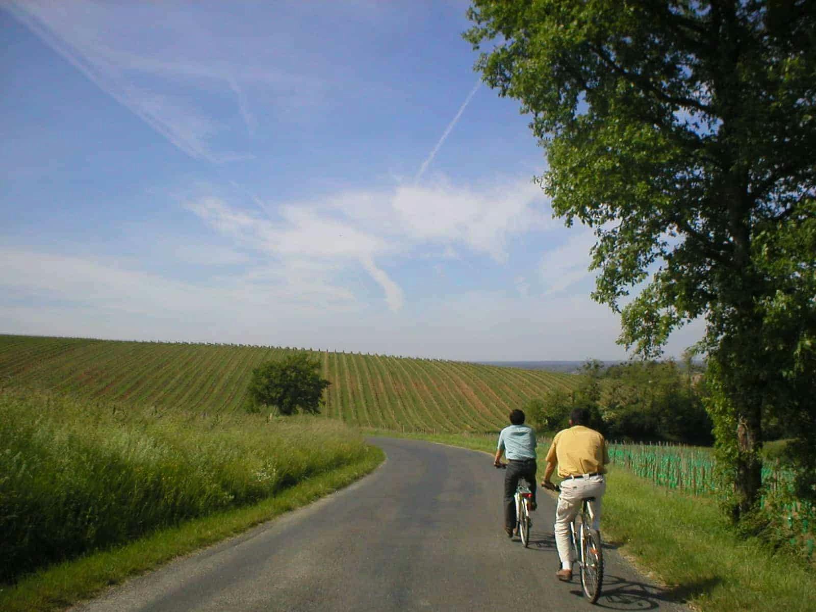 the-vineyards-of-bordeaux-and-the-route-des-chateaux-in-7-days