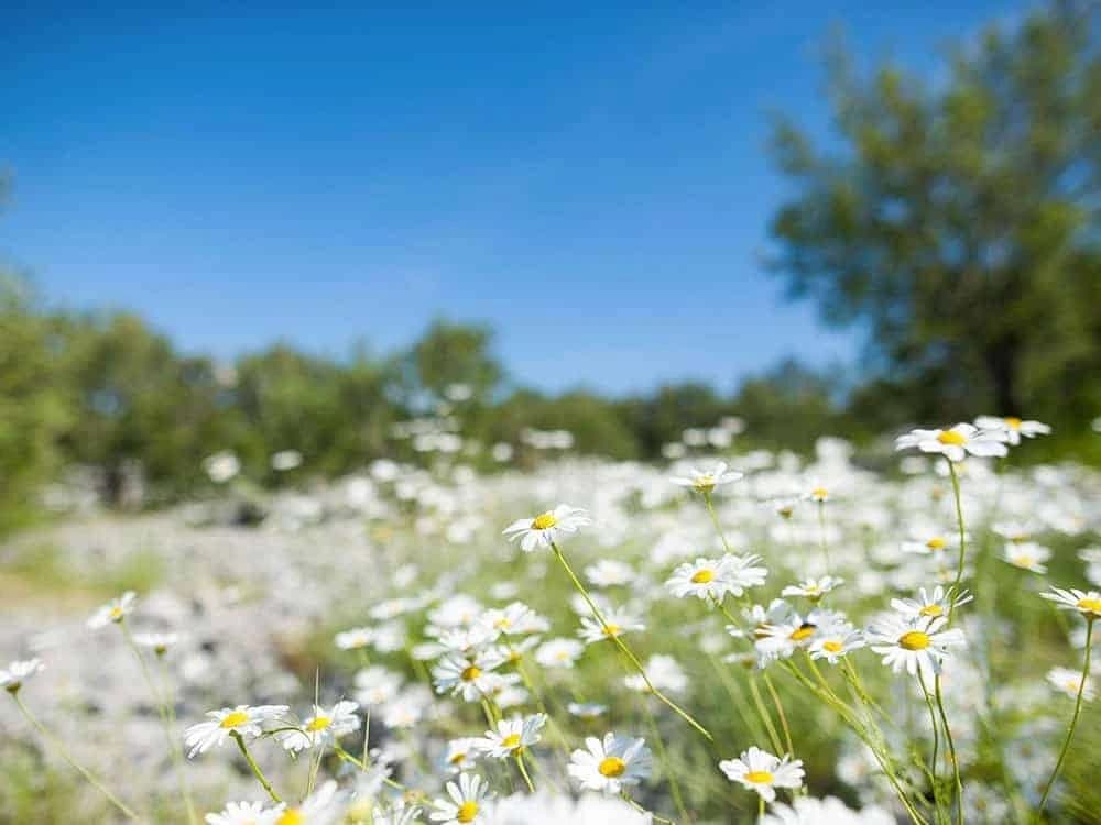 national-parks-of-dalmatia-by-bike-and-boat-elegance